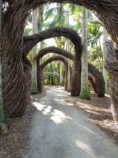 Arcos Abstratos Artísticos Feitos Galhos Jardim Botânico Tropical Vero Beach — Fotografia de Stock