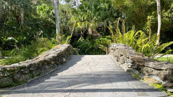 佛罗里达州一个热带植物园 一座石桥被棕榈树和大蕨树环绕 — 图库照片