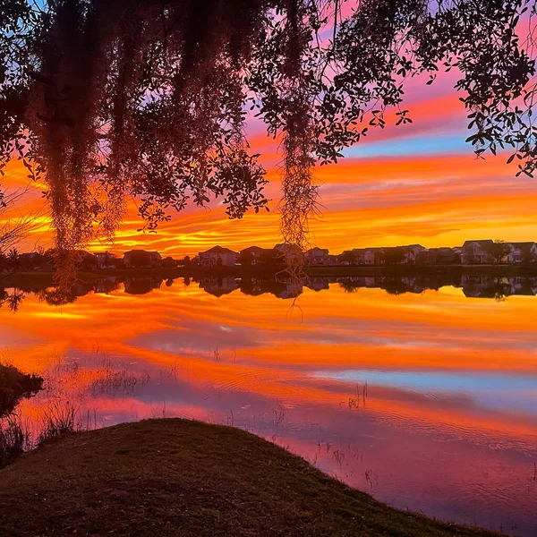 Розовый Оранжевый Голубой Закат Озере Пригороде — стоковое фото