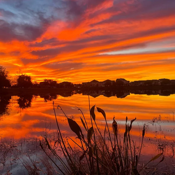 Beau Coucher Soleil Rose Orange Bleu Réfléchissant Sur Lac Dans — Photo