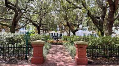 Orlando, Florida 'daki bir çeşmeye giden patikalı küçük bir park..