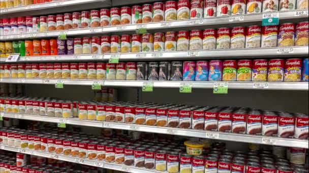 Orlando Usa February 2020 Panning Campbells Soup Aisle Publix Grocery — Stock Video