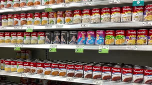 Orlando Estados Unidos Febrero 2020 Panorama Justo Pasillo Sopa Campbells — Vídeos de Stock