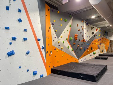 Florida, Orlando 'daki Nona Gölü' ndeki Laureate Park mahallesindeki bir köpek parkında bir pavilyon..