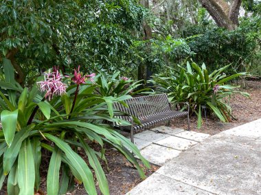 Florida 'daki botanik bahçesinde çiçeklerle ve bitkilerle çevrili metal bir bank..