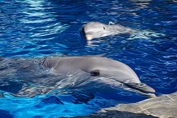 青い海を泳ぐ2匹のイルカのイラスト — ストック写真