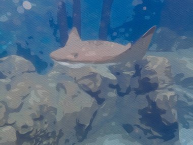 Mercan resifinde yüzen Cownose Ray 'in suluboya çizimi, iğneli vatoz.