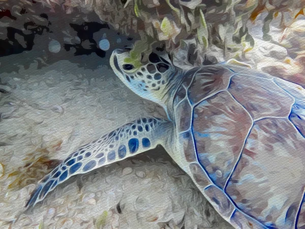 Ilustrace Mořské Želvy Visící Pod Vodou — Stock fotografie