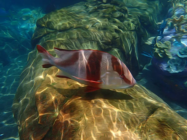 Illustration Poisson Poule Aux Couleurs Vives Dans Aquarium — Photo