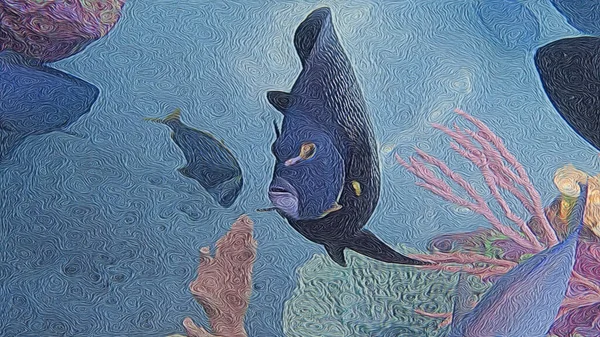 Illustration Une Reine Angelfish Nageant Sur Récif Par Des Coraux — Photo