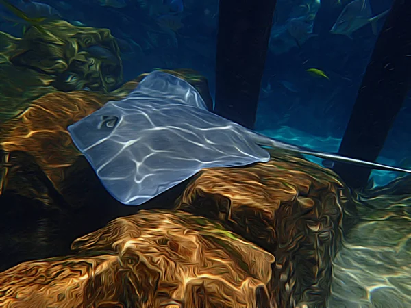 Иллюстрация Плавания Скатов Над Коралловым Рифом — стоковое фото