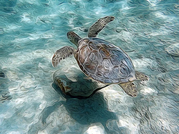 Een Illustratie Van Een Zeeschildpad Zwemmen Overheen Een Arenaceous Gebied — Stockfoto