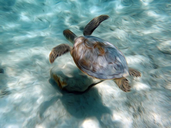 Иллюстрация Морской Черепахи Плавающей Над Песчаной Зоной Океана — стоковое фото