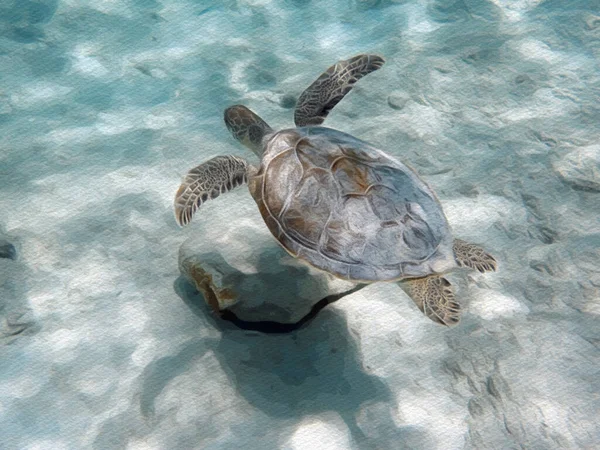 一只海龟在海洋的沙地上游泳的例子 — 图库照片