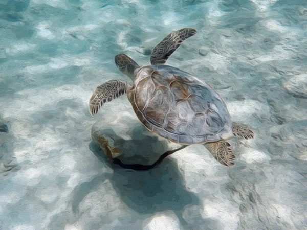 Een Illustratie Van Een Zeeschildpad Zwemmen Overheen Een Arenaceous Gebied — Stockfoto