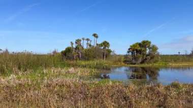 Orlando Wetlands, Florida, Orlando 'da bir bataklık koruma alanıdır.