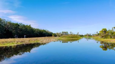 Orlando Wetlands, Florida, Orlando 'da bir bataklık koruma alanıdır.