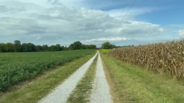 Güneşli bir sonbahar gününde Evansville yakınlarındaki bir çiftlik arazisinden geçen bir yol..