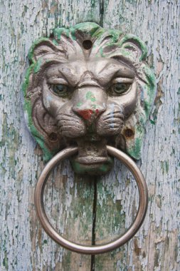 Gri aslan kapı tokmağı