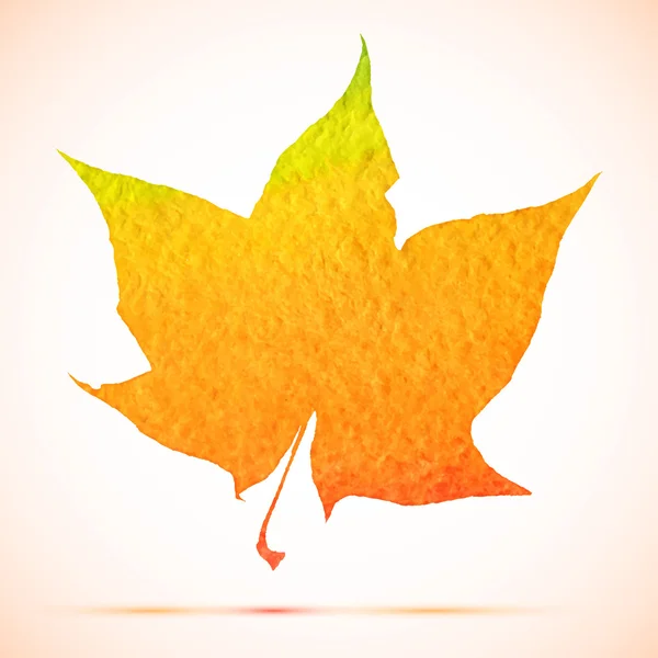 Suluboya portakal sonbahar akçaağaç yaprağı ile gölge