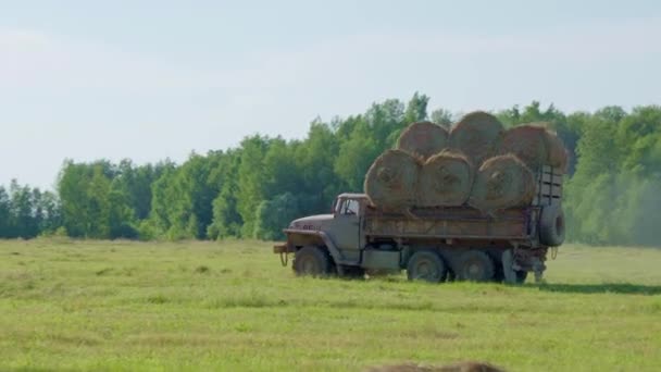 在卡车后部运送干草立方体。草场上的草包. — 图库视频影像
