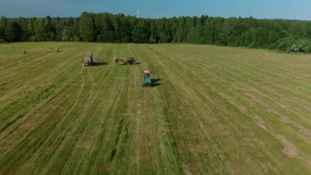 Harvesting hay. Tractor loading hay bales on a trailer. — Stock Video