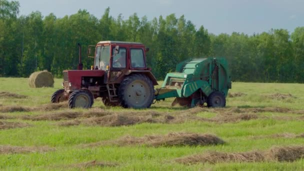 Kerek bálázó kibocsátása kerek friss szénabála a mezőgazdasági betakarítás során a területen — Stock videók