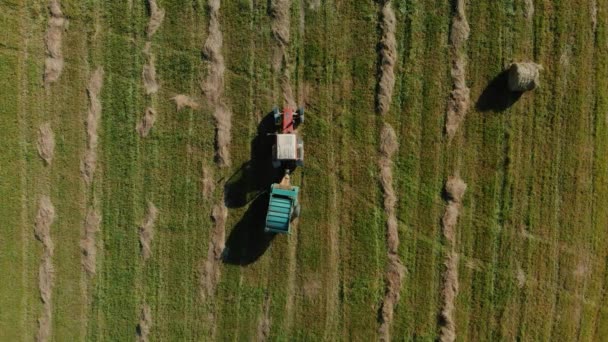 Ronde balenperslozing rond vers hooibaal tijdens het oogsten in de landbouw in het veld — Stockvideo