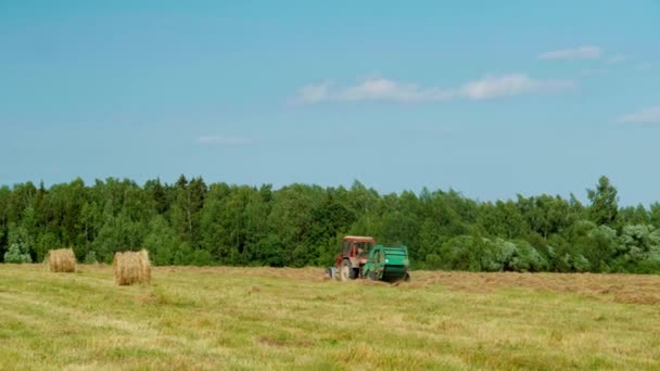 Maquinaria agrícola recoge paja seca en rollos y balas grandes redondas. — Vídeos de Stock