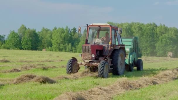 Maquinaria agrícola recoge paja seca en rollos y balas grandes redondas. — Vídeos de Stock