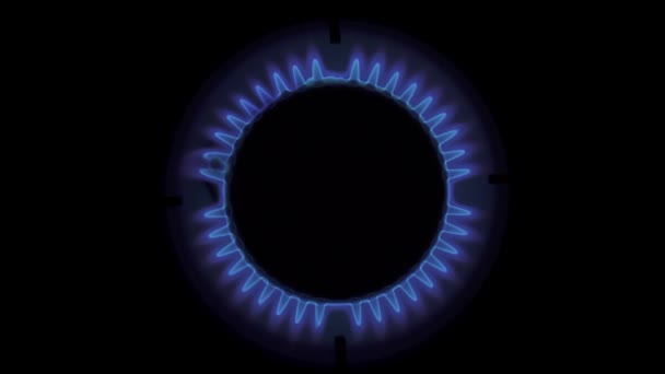 Природный газ из кухонной газовой плиты в темноте — стоковое видео