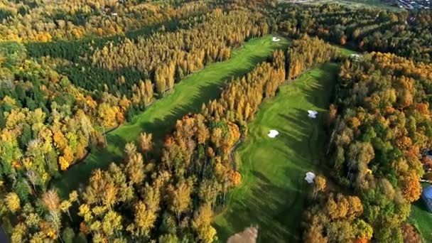 Vista aérea do campo de golfe perto da floresta. — Vídeo de Stock