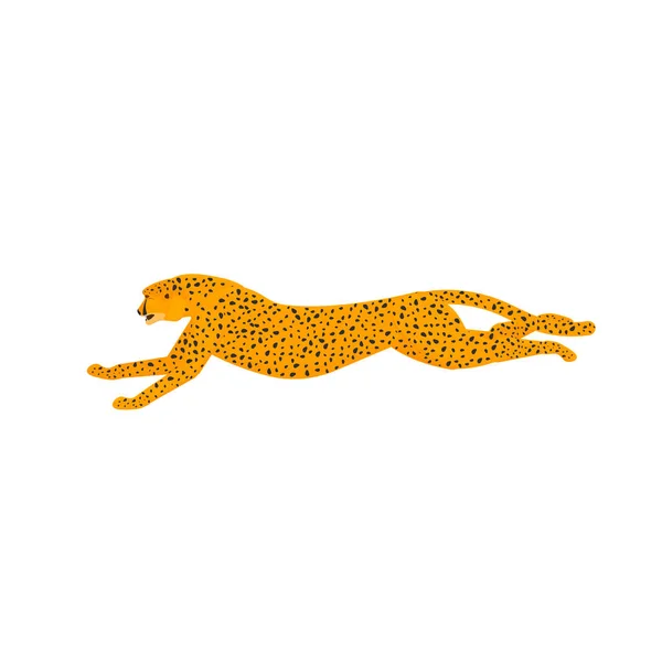 Çita. Koşan Çita, vektör illüstrasyonu