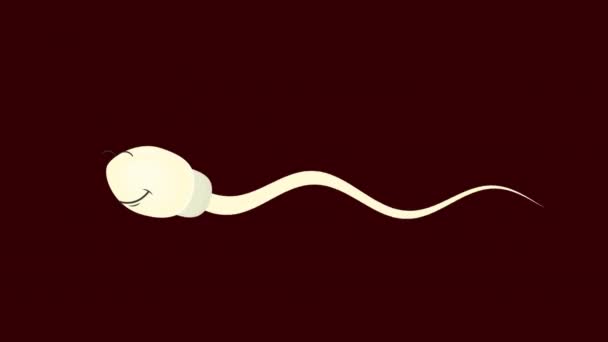 Sperm Karakter Spermatozoa Bir Çizgi Film — Stok video