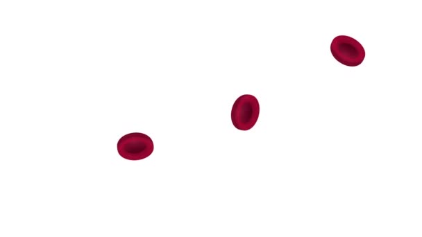 Red Blood Cells Animation Red Blood Cells Cartoon — Stock Video