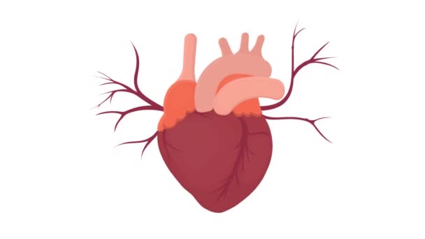 Corazón Humano Órganos Internos Dibujos Animados — Vídeos de Stock