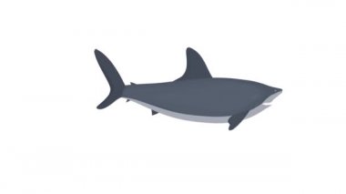 Köpekbalığı. Köpek balığı, çizgi film.