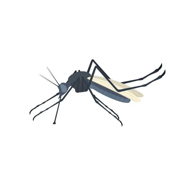 Moustique Moustique Insecte Illustration Vectorielle — Image vectorielle