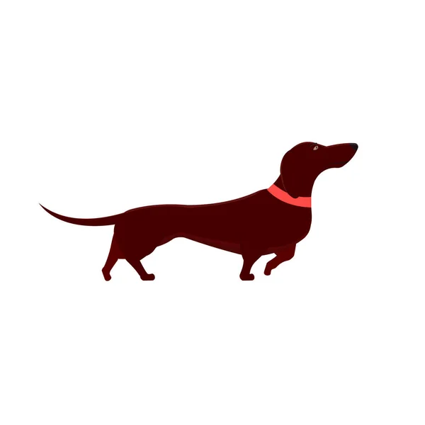 Dachshund Dierenhond Vectorillustratie — Stockvector