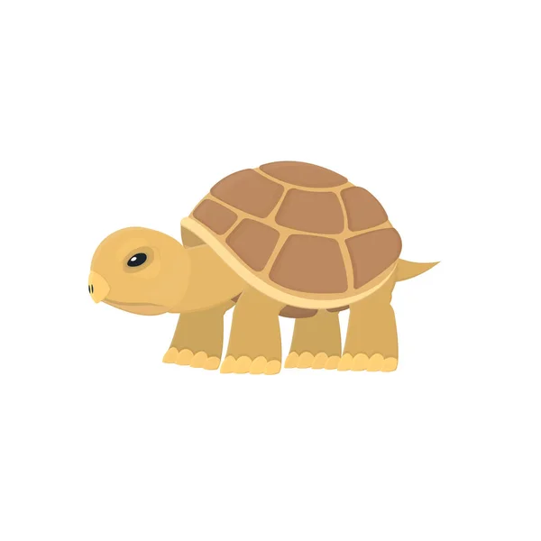 Turtle Zvířecí Želva Vektorová Ilustrace — Stockový vektor