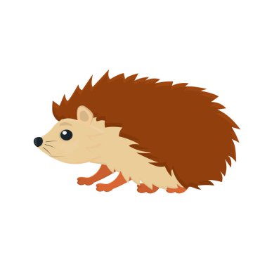 Kirpi. Hayvan kirpisi, vektör çizimi