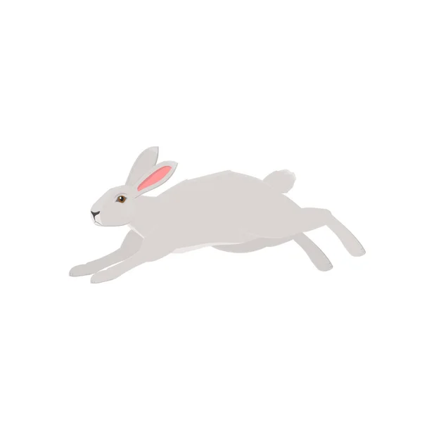 Hare Running Animal Hare Vector Illustration — Stock Vector