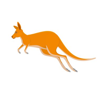 Kanguru. Kanguru hayvanı, vektör çizimi