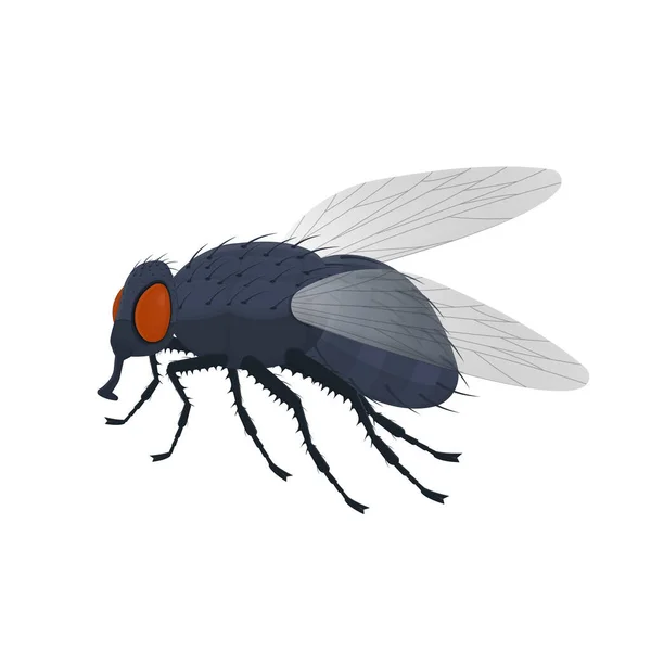 Voler Mouche Des Insectes Illustration Vectorielle — Image vectorielle
