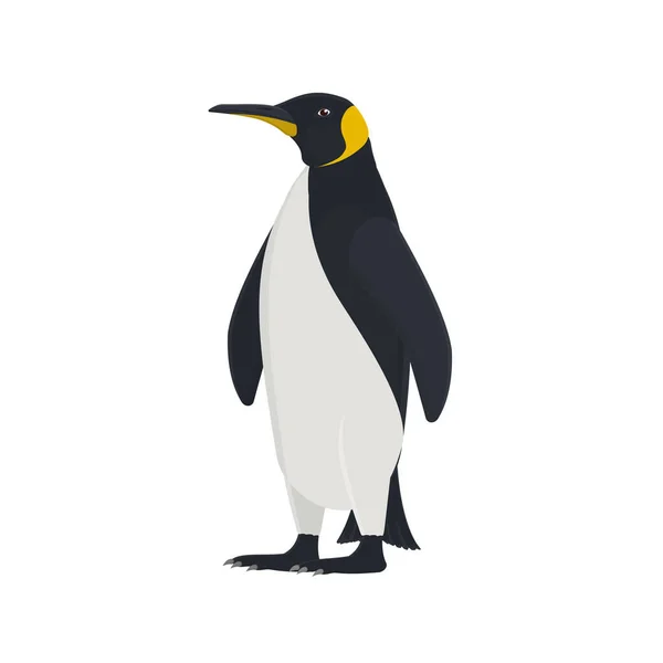Pinguin Pinguin Tier Vektorillustration — Stockvektor