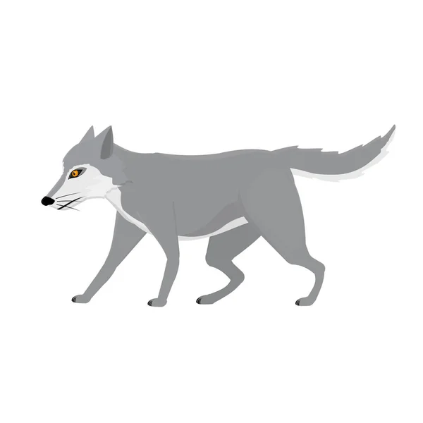 Wolf Animal Wolf Vector Illustration — Stock Vector