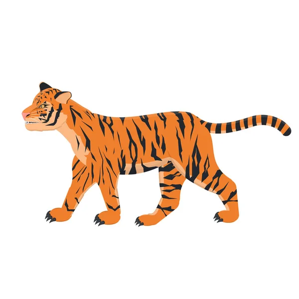 Тигр Животный Тигр Векторная Иллюстрация — стоковый вектор