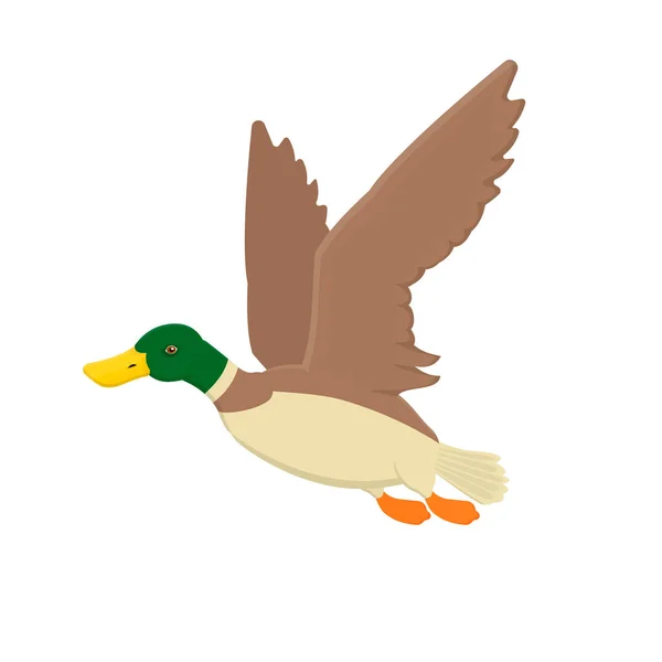 Pato Pato Pájaro Ilustración Vectorial — Vector de stock