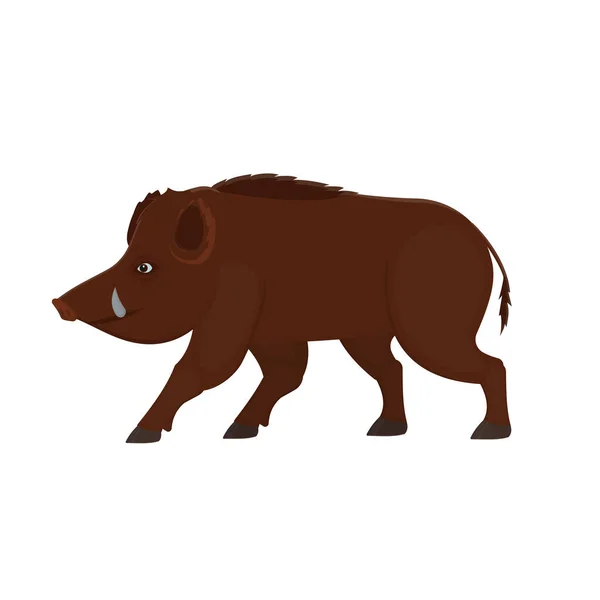 Wildschweine Wildschwein Vektorillustration — Stockvektor