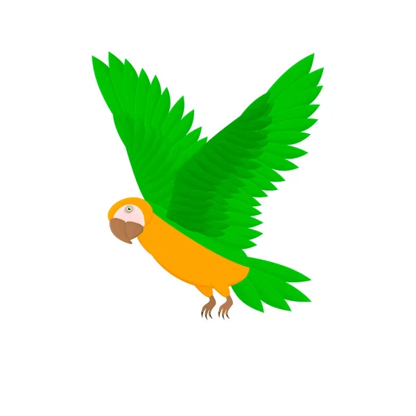 Loro Pájaro Loro Ilustración Vectorial — Vector de stock